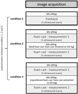 Reproducibility of freehand vs. foam cast as well as the intrarater reliability of foam cast ultrasound scans assessing the muscle architecture and tissue organization of the gastrocnemius medialis and vastus lateralis muscles